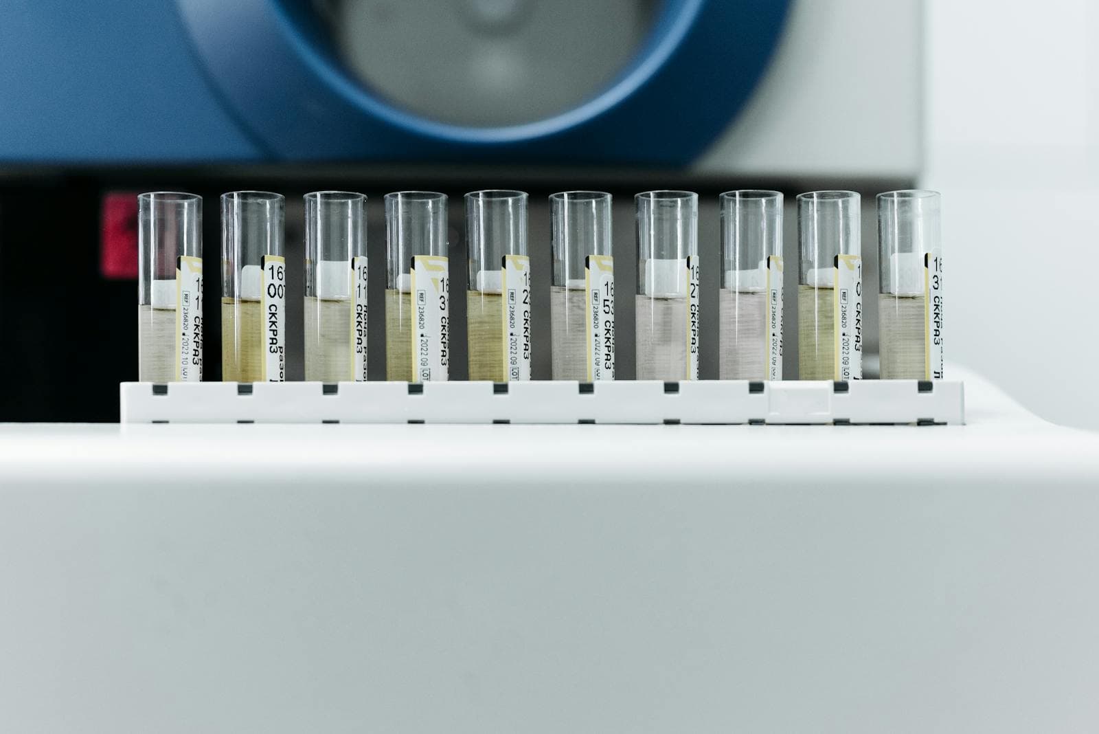 Especialista trabalhando em laboratório